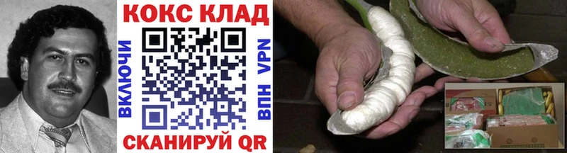 COCAIN Fish Scale  Купить закладки  Гагарин 
