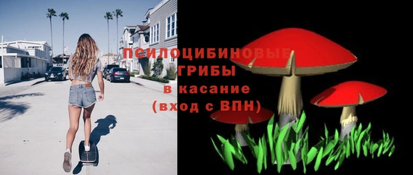MESCALINE Каменка