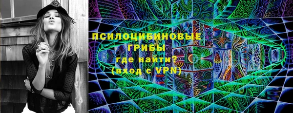 MESCALINE Каменка