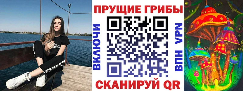 Псилоцибиновые грибы Cubensis  Купить  Гагарин 